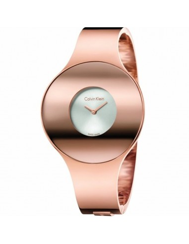 Montre Femme Calvin Klein K8C2M616 Venez découvrir notre 