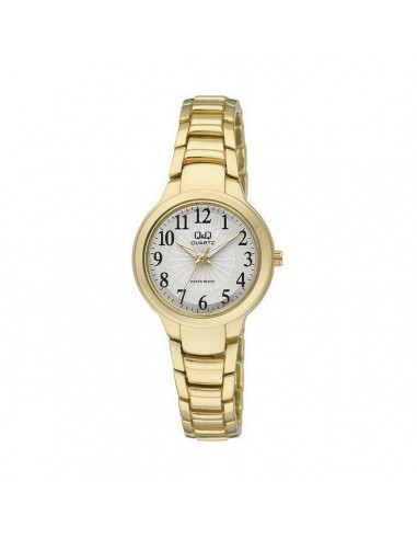 Montre Femme Q&Q F499J014Y (Ø 34 mm) la colonne vertébrale