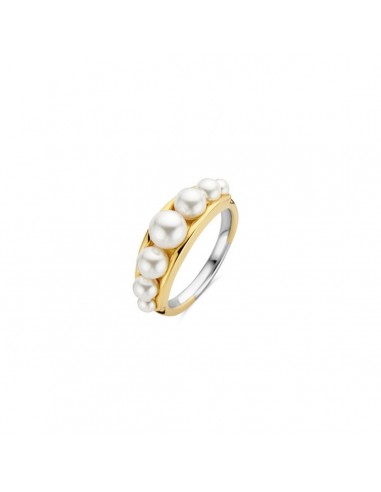 Bague Femme Ti Sento 12232PW/56 16 est présent 