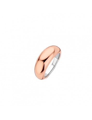 Bague Femme Ti Sento 12172SR/56 16 Comparez et commandez 