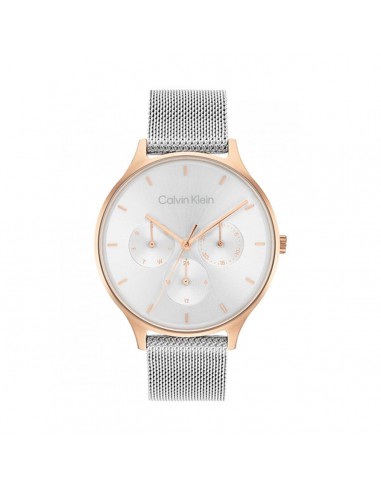 Montre Femme Calvin Klein 25200106 france