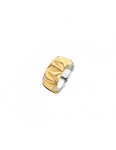 Bague Femme Ti Sento 12279SY/56 16 Véritable concentré