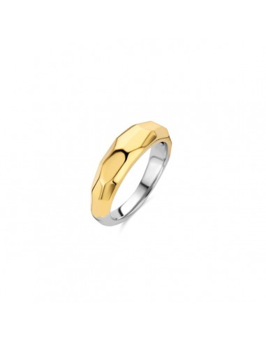 Bague Femme Ti Sento 12201SY/56 16 2023