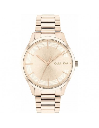 Montre Femme Calvin Klein 25200042 À commander